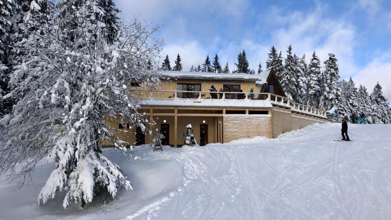 Apartmany Riviera 511 Lipno nad Vltavou Eksteriør billede